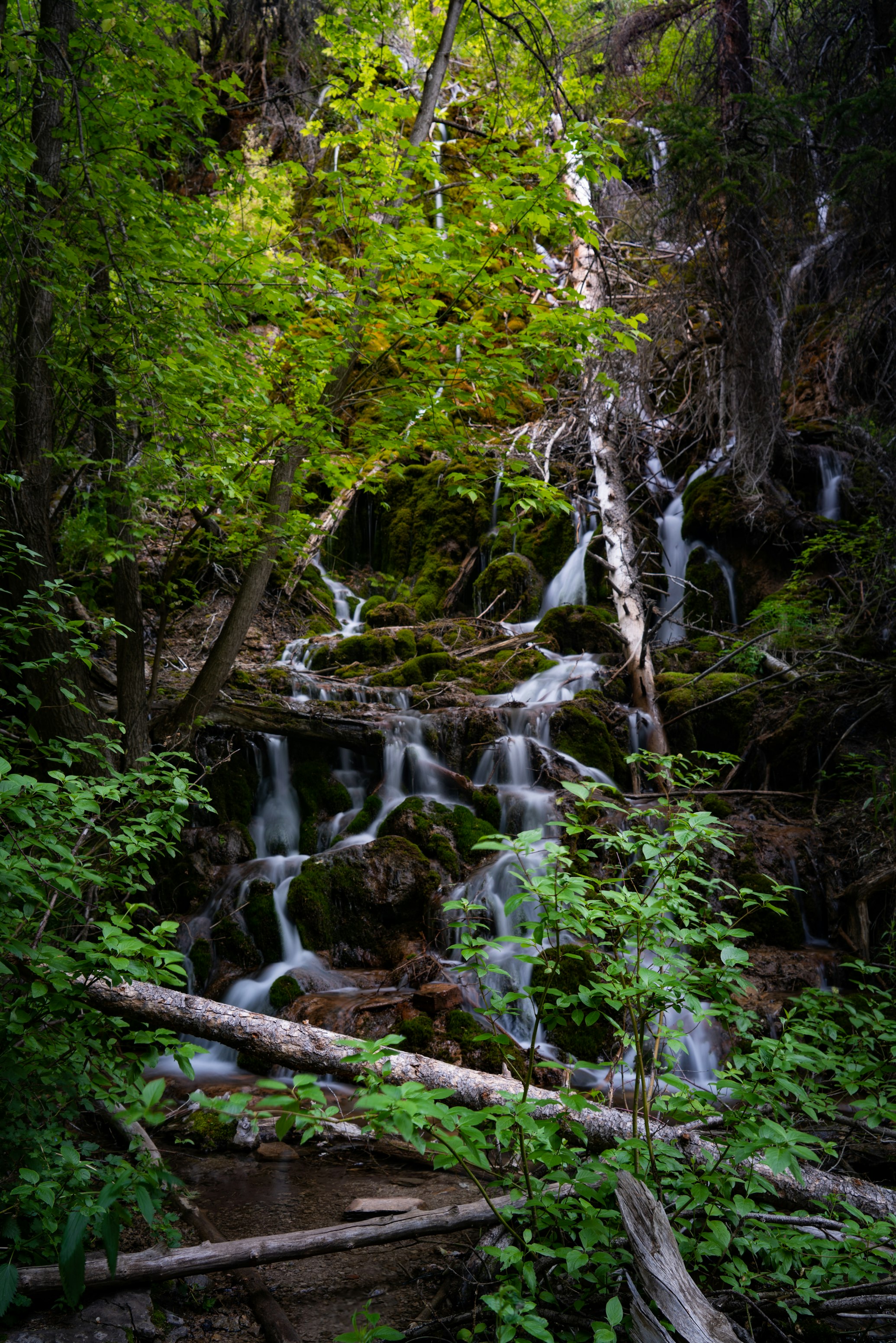 20 Minutes Up the Pass: Your Guide to Green Mountain Falls, Colorado's Most Overlooked Mountain Town — The Outrider Hotel Blog
